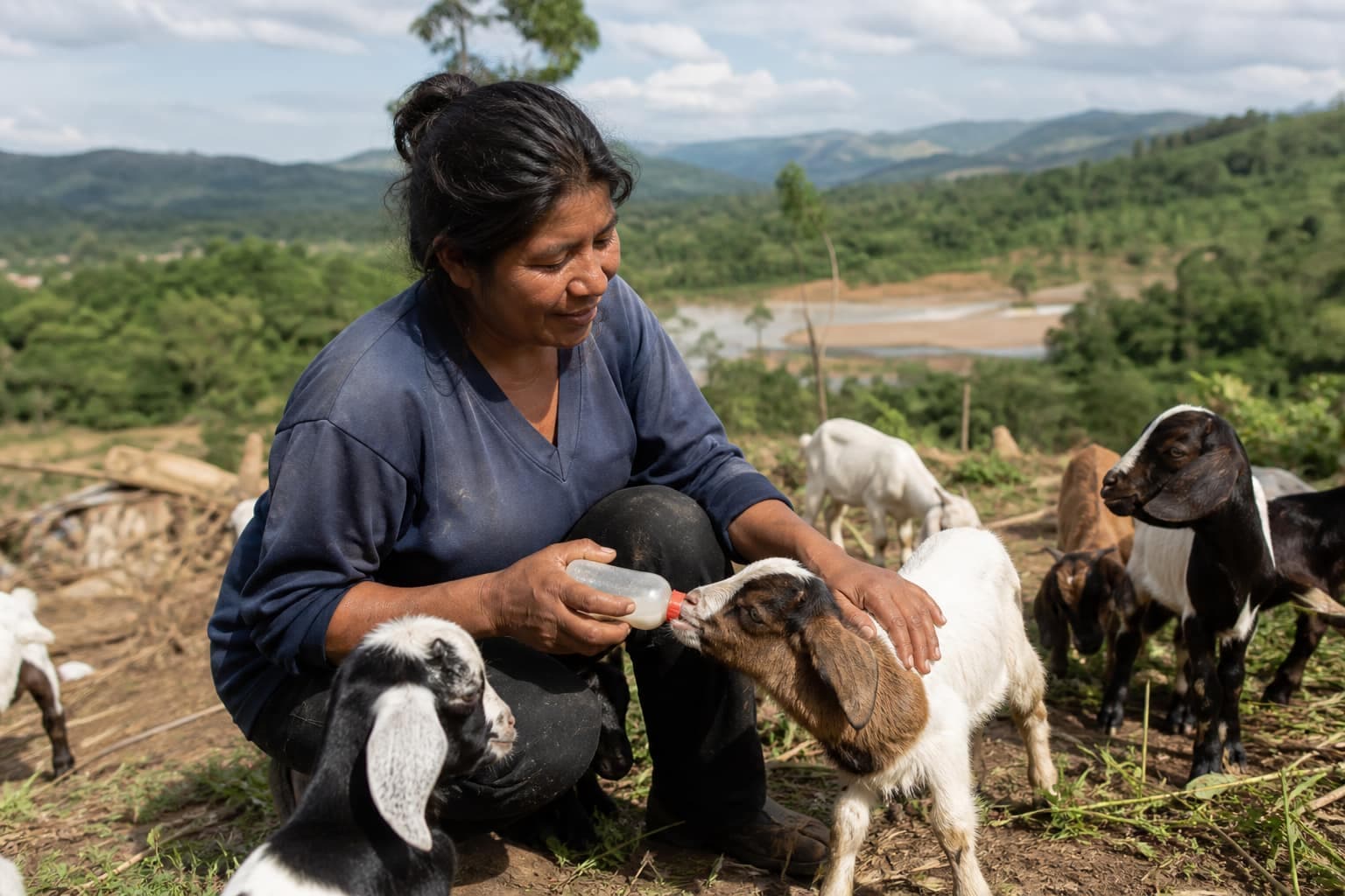 Marina tending recovered goats on her farm in South America after flood rescue